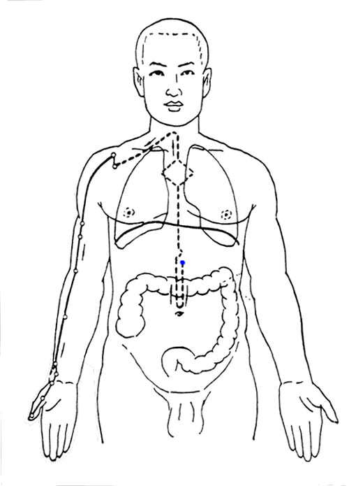 The Flow of the Twelve Meridians: A Guide to Health Maintenance Over 24 Hours