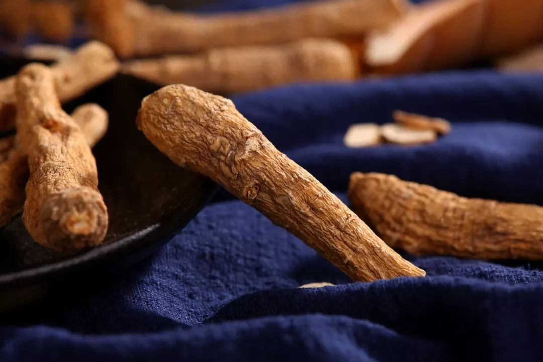 The Series of Food and Medicine Origin - Codonopsis