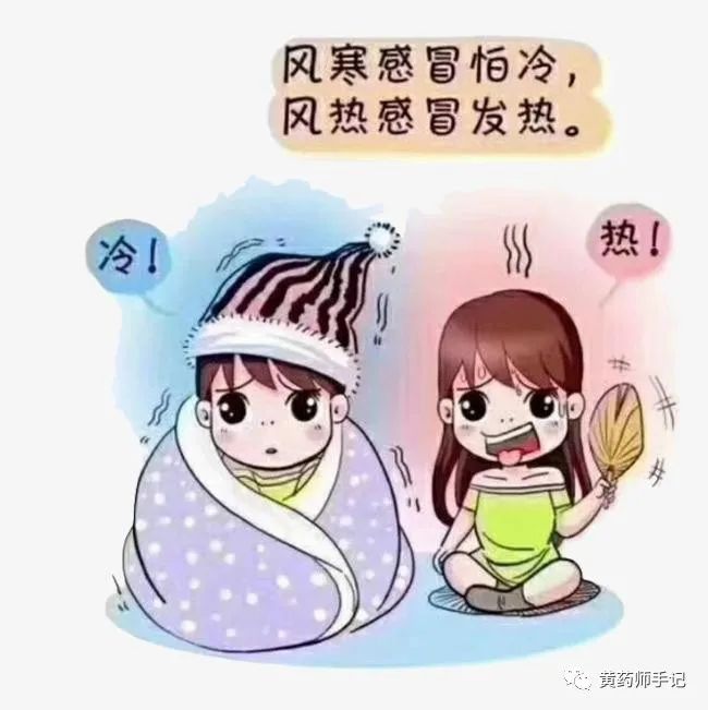 6 Common Chinese Patent Medicines for Wind-Cold Common Cold: Reference for Influenza, COVID-19, and Pneumonia Infections