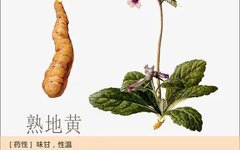 Rehmannia Glutinosa: A Comprehensive Overview