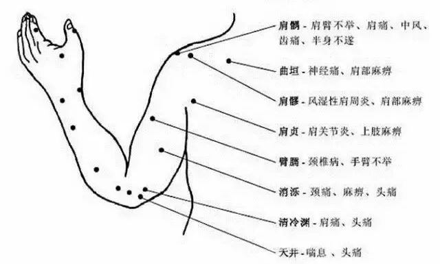 The Most Comprehensive Atlas of Acupuncture Points and Their Effects!