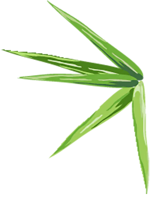 Medicinal Cuisine in Traditional Chinese Medicine