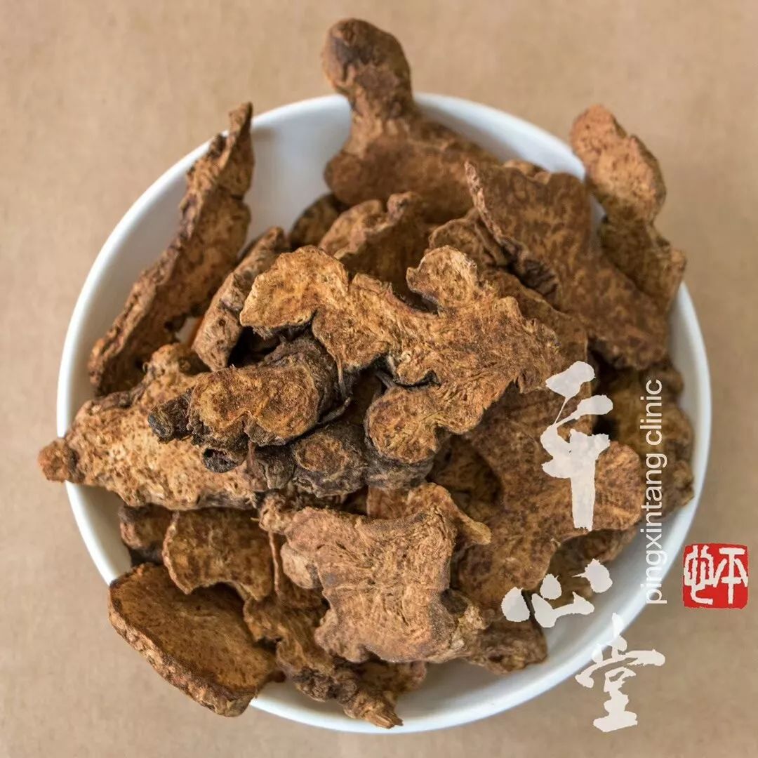Daily Herb: Cang Zhu (Atractylodes)