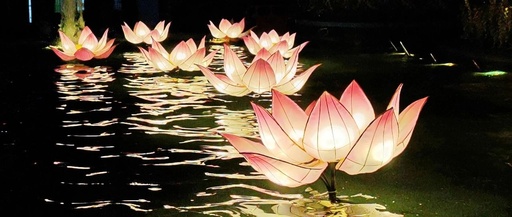 Understanding the Complex Pulse: San Mai, Bu Jing Mai, Shang Sheng Xia Xu Mai, and Xia Sheng Shang Xu Mai