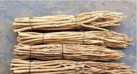 Astragalus Prevents 12 Major Diseases: No Wonder More People Are Using It! Affordable and Effective!