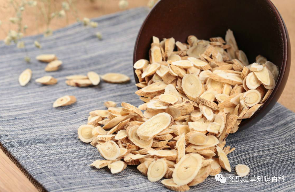 The King of Qi Supplementation - Astragalus