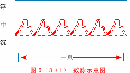 Illustrated Guide to 28 Dynamic Pulse Diagnoses in Traditional Chinese Medicine