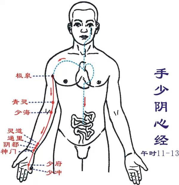 Essentials: The Twelve Meridians and Their Source, Luo, and Transport Points (Summary with Images)