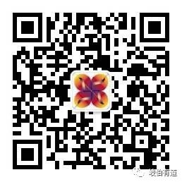 Comprehensive Guide to the Treatment of Six Excesses in Traditional Chinese Medicine