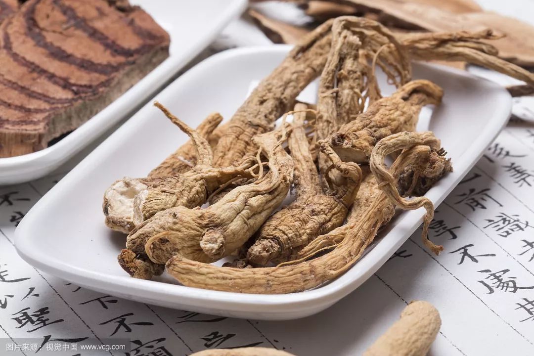 Encyclopedia of Chinese Herbs | Angelica Sinensis