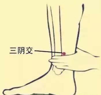 Common Acupuncture Points and Their Effects! (Illustrated Version)