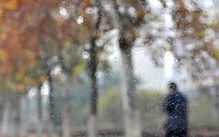 Don't Fear Excess Dampness in the Body: TCM Summarizes 5 Major Methods to Eliminate Dampness for a Lighter You