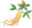 The Effectiveness of TCM Tuina in Treating Neck, Shoulder, and Lower Back Pain: What Sets It Apart from Regular Massage?