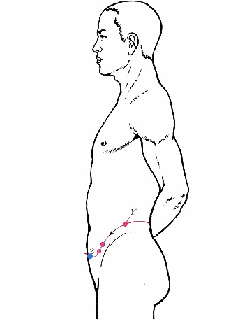 Understanding the Eight Extraordinary Meridians in TCM