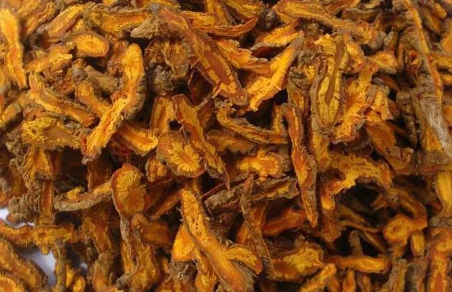 The Efficacy and Functions of Huang Lian (Coptis chinensis)