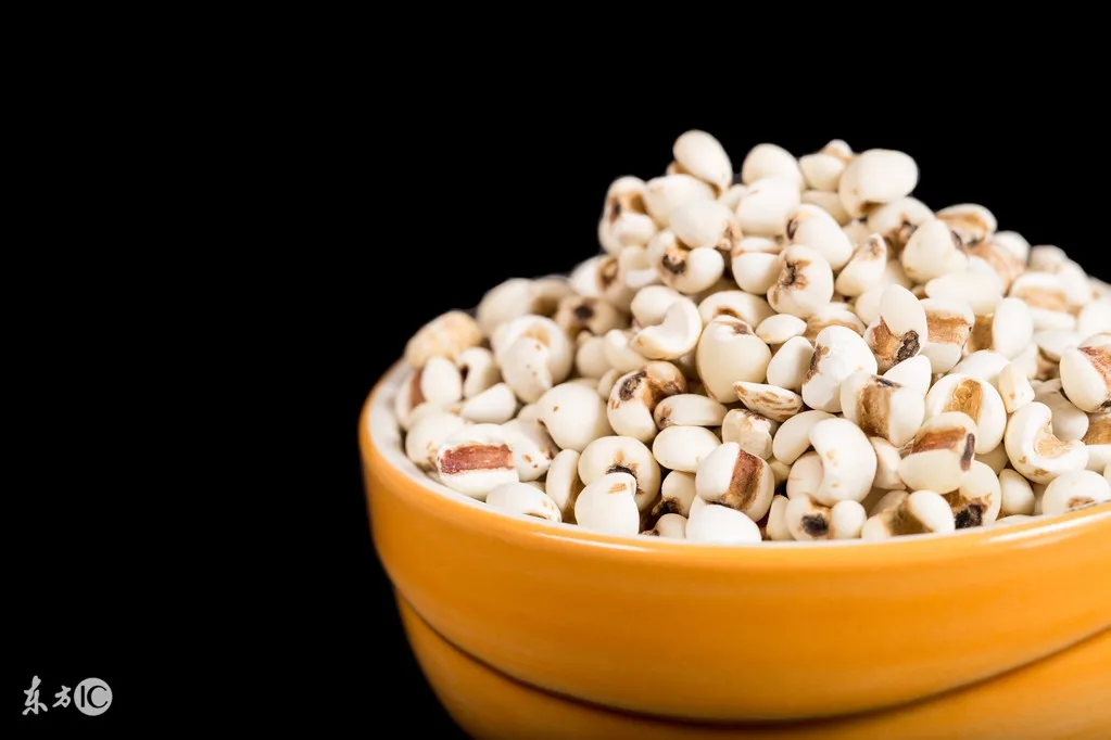 Traditional Chinese Medicine: The 5 Benefits and Effects of Coix Seed (Yi Yi Ren) and Its Side Effects
