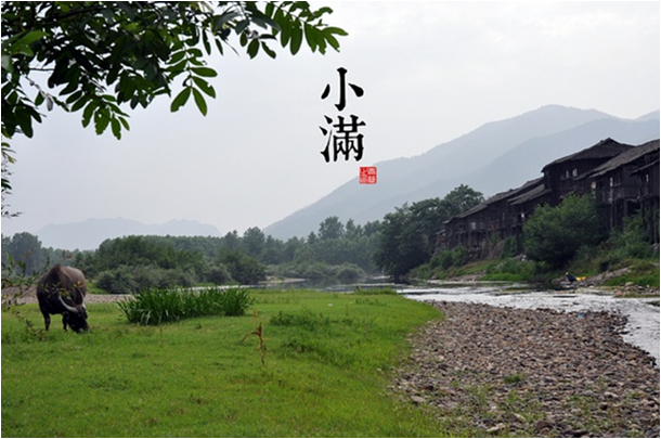 Qi Huang Medicinal Cuisine