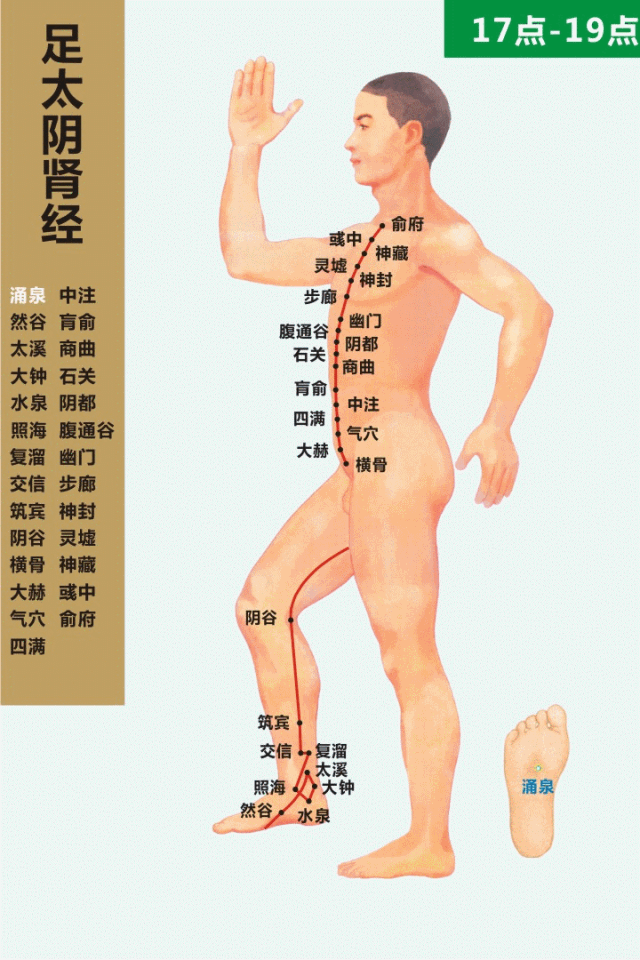 Diagram of the Twelve Meridians (Latest)