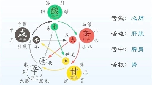 The Influence of the Five Elements on Organs, Personality, and Emotions in Traditional Chinese Medicine