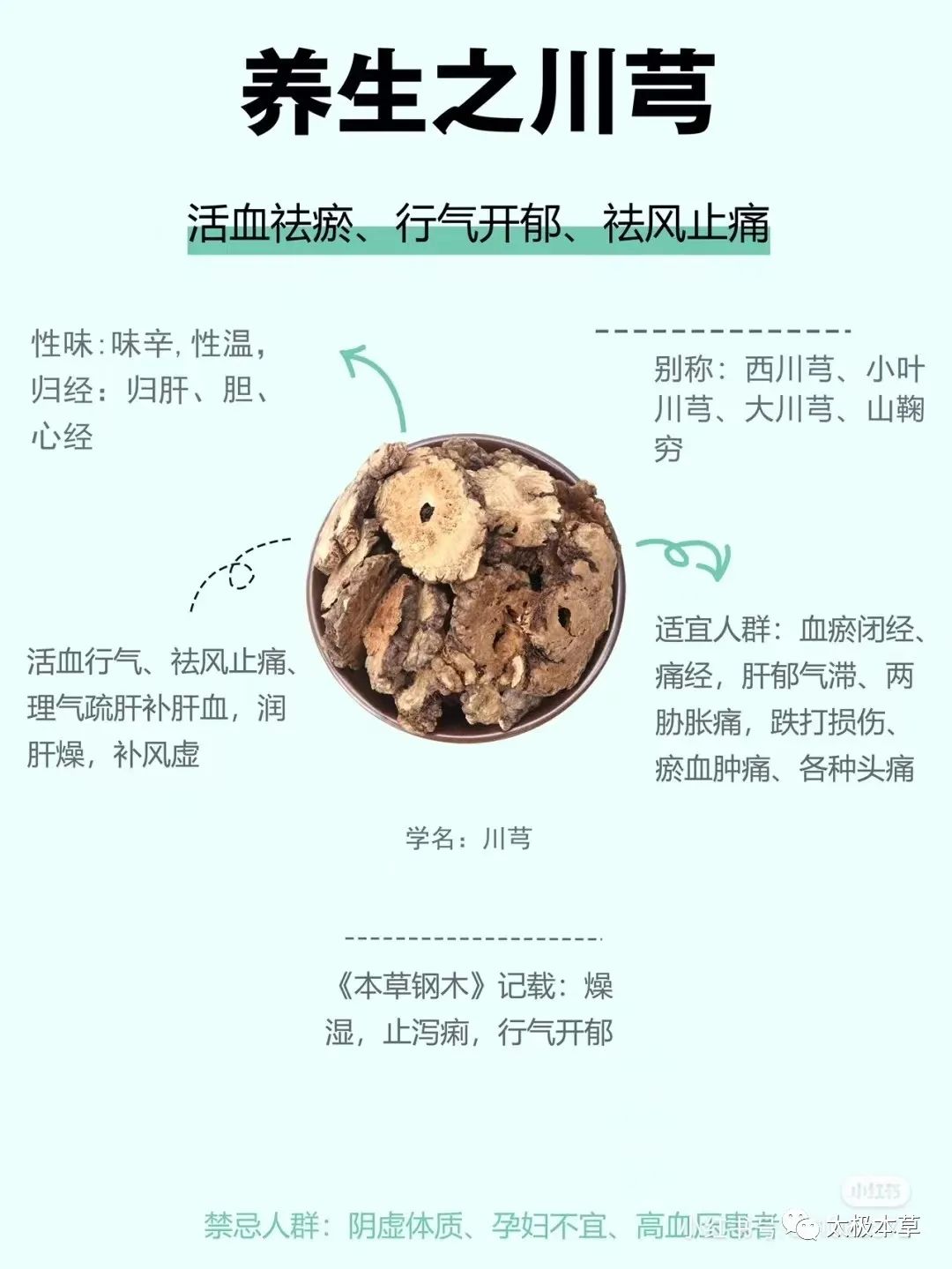 Chuanxiong: A Valuable Herb for Treating Headaches and Promoting Blood Circulation