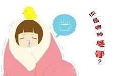 Traditional Chinese Medicine Overview: "Wind-Heat Cold"