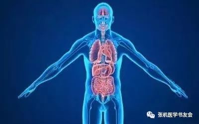 The Official Roles Assigned to the Five Zang and Six Fu Organs in Ancient Chinese Medicine