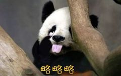 Comprehensive Tongue Diagnosis Guide! TCM Teaches You 6 Methods to Understand Health Through Your Tongue, Save for Future Reference!