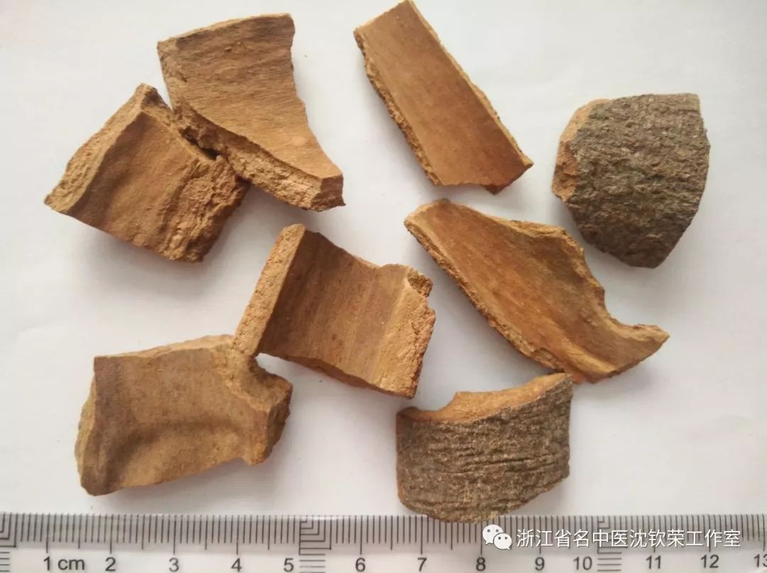 Cinnamon (Rou Gui): A Distinct Herb with Unique Clinical Efficacies