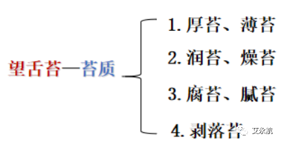 Understanding Disease Through Tongue Diagnosis in Traditional Chinese Medicine
