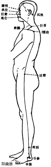 The Concept and Physiological Characteristics of the Eight Extraordinary Meridians