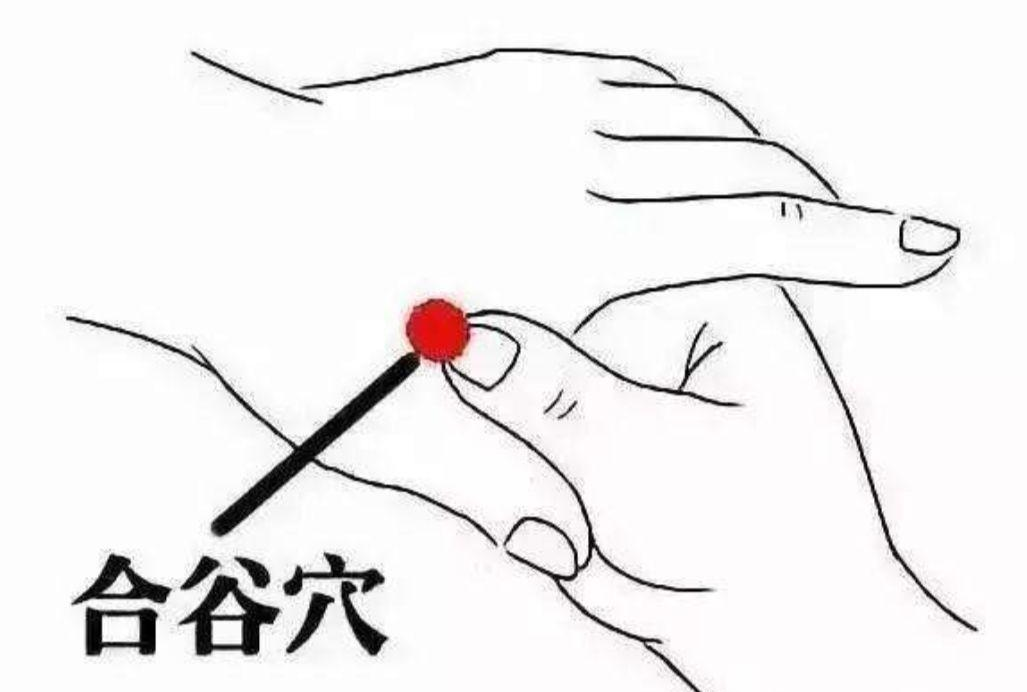 How to Ensure the Balance of Yin and Yang in the Body? Eight Tips from Traditional Chinese Medicine!