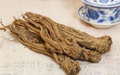 Understanding a Medicinal Herb - Angelica Sinensis