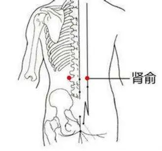 Identification of TCM Constitution - Harmonious Constitution