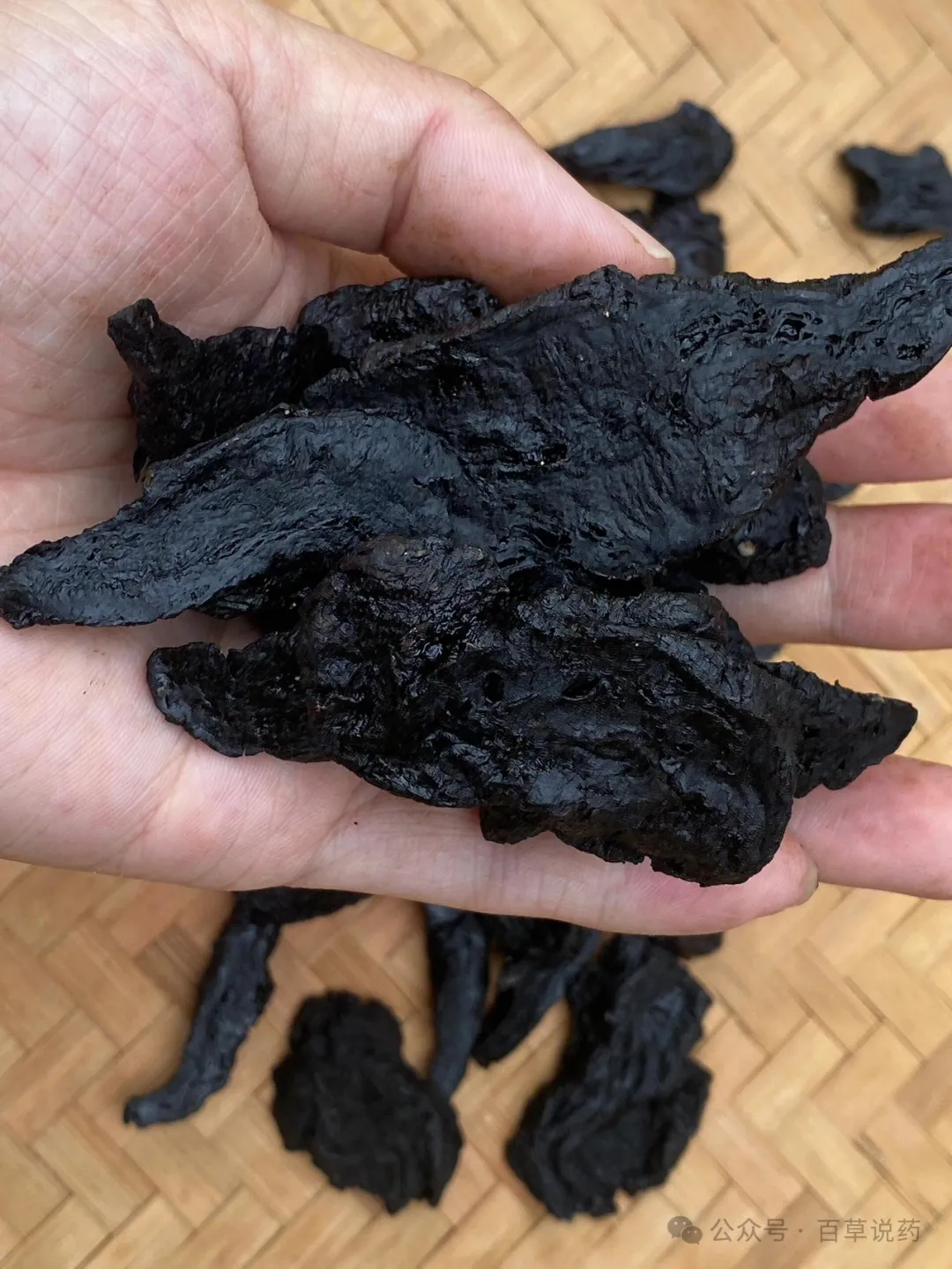 Understanding Shudi: A Traditional Chinese Herb for Nourishing Yin and Blood