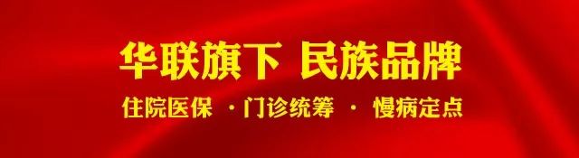 The Story of Cang Zhu (Atractylodes) and Its Medicinal Significance
