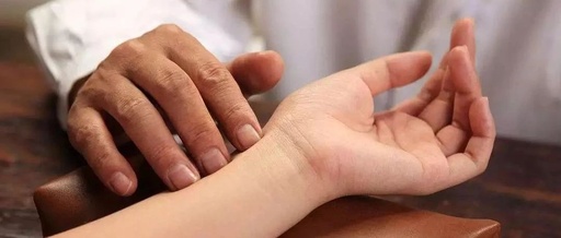 What is the 'Slippery Pulse' in Pulse Diagnosis?
