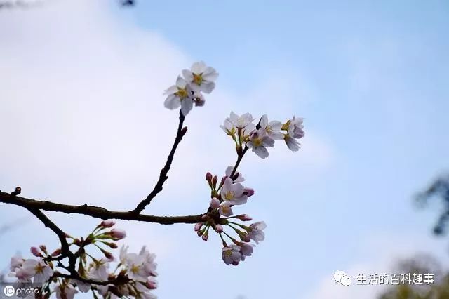 Liver and Gallbladder Damp-Heat: Dry Mouth and Bitter Taste, Spleen and Stomach Yang Deficiency: Diarrhea, Coexistence of Damp-Heat and Yang Deficiency, How to Improve?