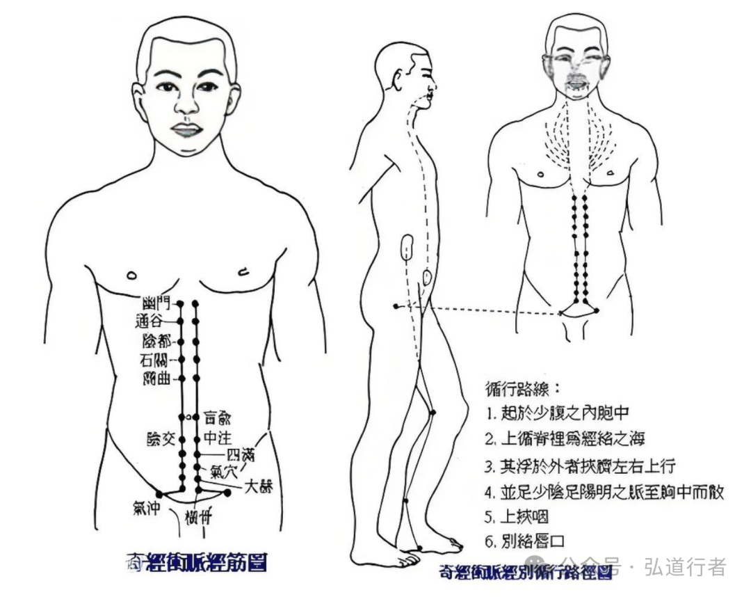 The Chong Mai: The Hub of Life Energy in the Eight Extraordinary Meridians