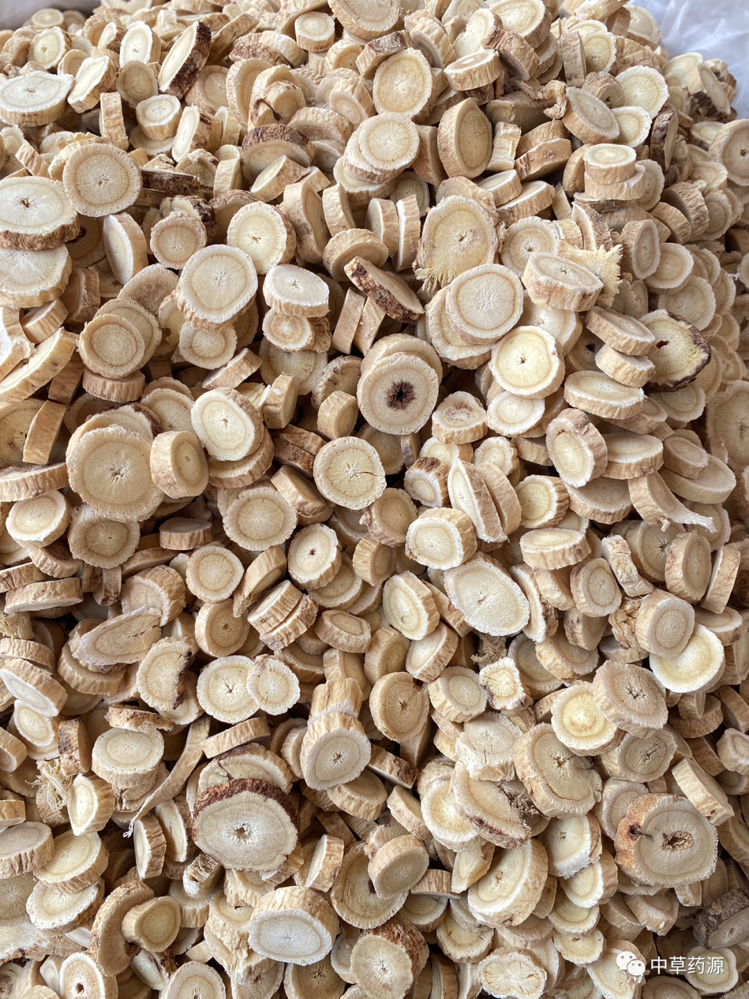 Appreciation of Traditional Chinese Medicine: Huangqi (Astragalus Root)