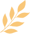 Yi Yi Ren: A Premium Herb for Dampness Removal and Spleen Health