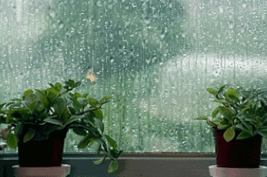 Eliminating Dampness: Tips to Strengthen the Spleen and Assist Yang, Banish Excess "Dampness"