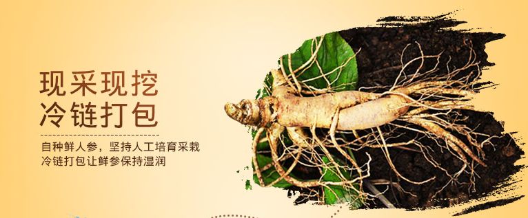 The Efficacy, Consumption Methods, and Suitable Groups for Fresh Ginseng: One of the Three Treasures of Northeast China
