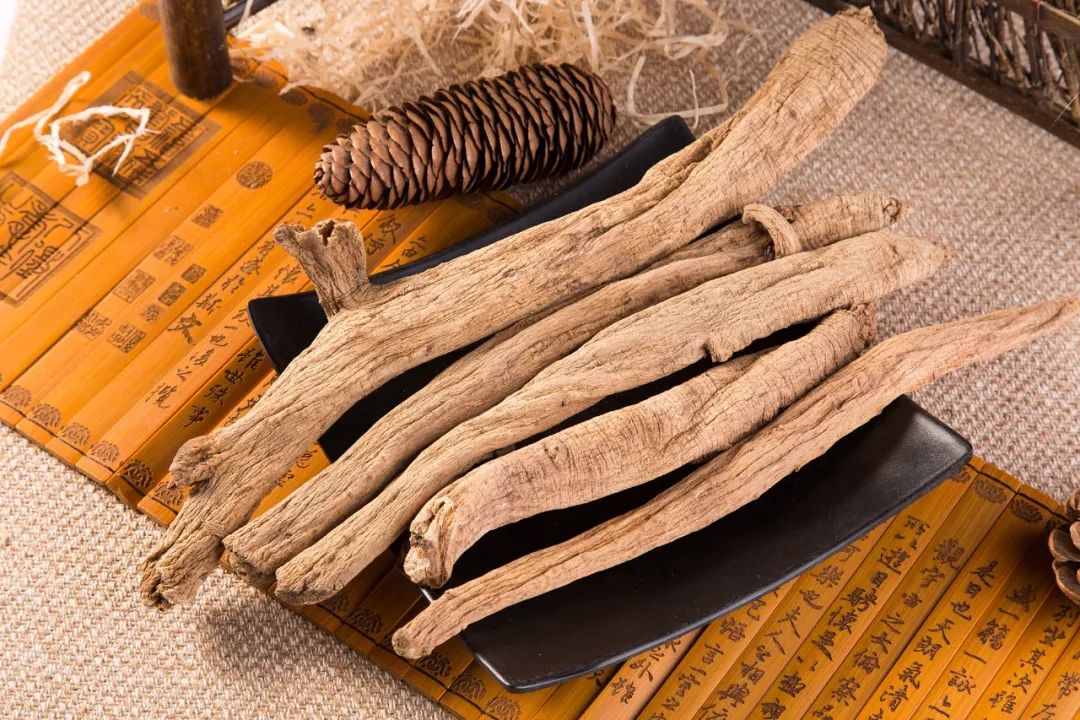 Knowledge of Ginseng Part Seven - The Effects and Usage of Codonopsis