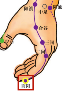 Acupoint Knowledge | Twelve Meridians: Hand Yangming Large Intestine Meridian - Shangyang Point