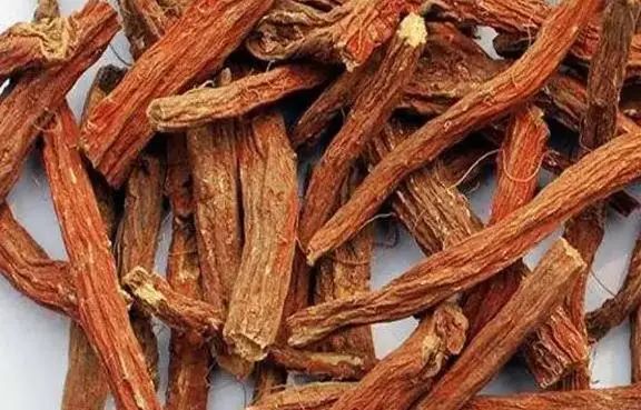 The "Golden Partner" of Danshen: Regular Consumption May Promote Blood Circulation and Dissolve Thrombus