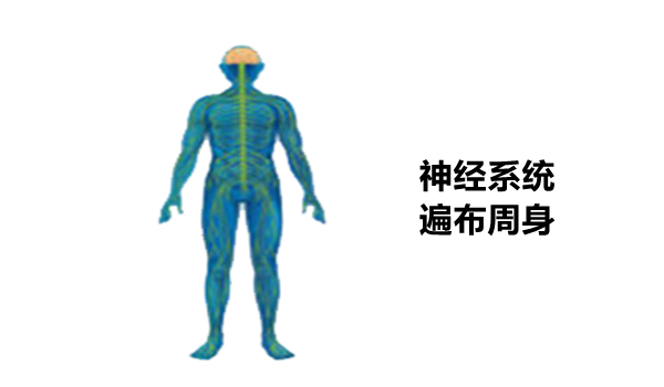 Understanding the Relationship Between the Large Intestine and the Lungs: Cold Dampness and Its Impact on the Spirit