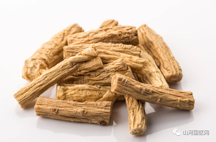 Codonopsis (Dang Shen): A Comprehensive Overview
