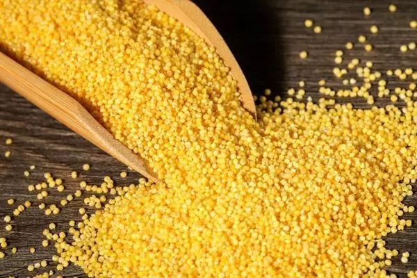 Secrets of Grain-Based Health: Eating for Better Wellness
