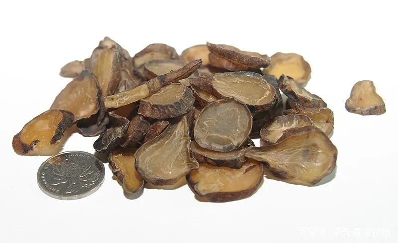 Aconite (Fu Zi) - Properties, Uses, and Preparation in Traditional Chinese Medicine