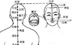 The Concept and Physiological Characteristics of the Eight Extraordinary Meridians